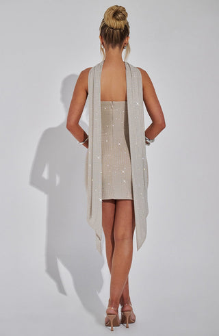 Ginni Mini Dress - Silver/Nude